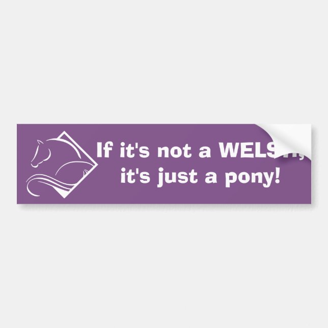 Autocollant De Voiture Poney de gallois Bumbersticker (Devant)