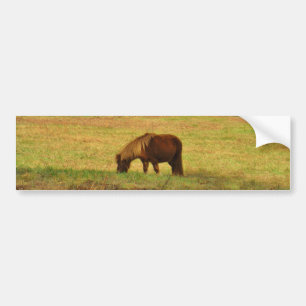 Autocollant De Voiture Pony miniature Brown