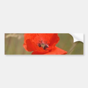 Autocollant De Voiture Poppy rouge dans le champ