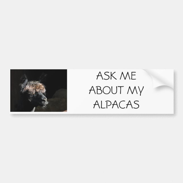 AUTOCOLLANT DE VOITURE POSEZ-MOI DES QUESTIONS SUR MES ALPACAS (Devant)