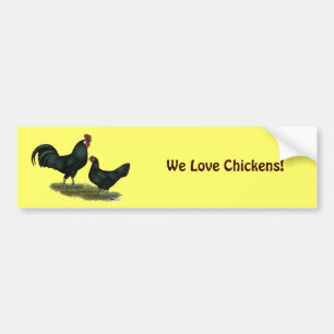 Autocollant De Voiture Poulets Augsburger