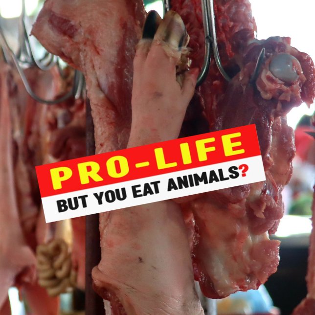 Autocollant De Voiture Pro-Life Mais Vous Mangez Des Animaux ? (Créateur téléchargé)