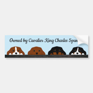 Autocollant De Voiture Propriété De Cavalier King Charles Spaniels