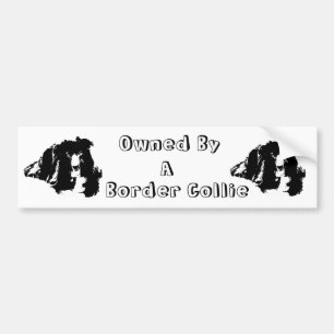 Autocollant De Voiture Propriété D'Un Collie Bordure Funny Bumper Sticker