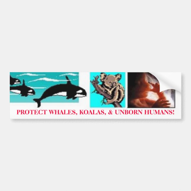 AUTOCOLLANT DE VOITURE PROTÉGEZ LES BALEINES, LES KOALAS ET LES HUMAINS N (Devant)