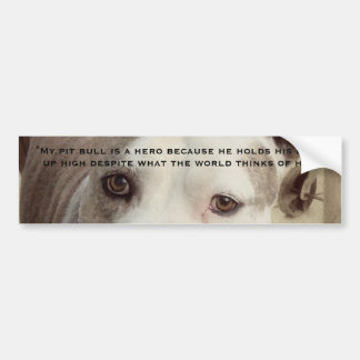 Autocollant De Voiture Puits Bill Bumpersticker