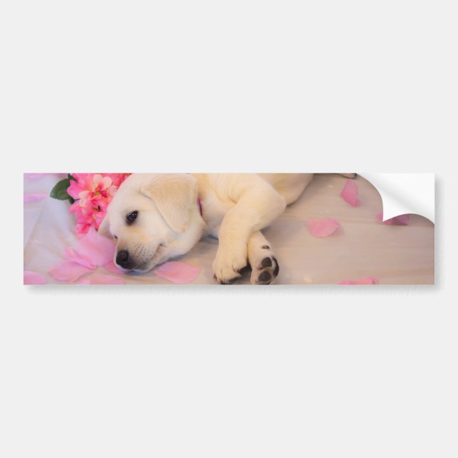 Autocollant De Voiture Puppy Sleep Flower 01 (Devant)