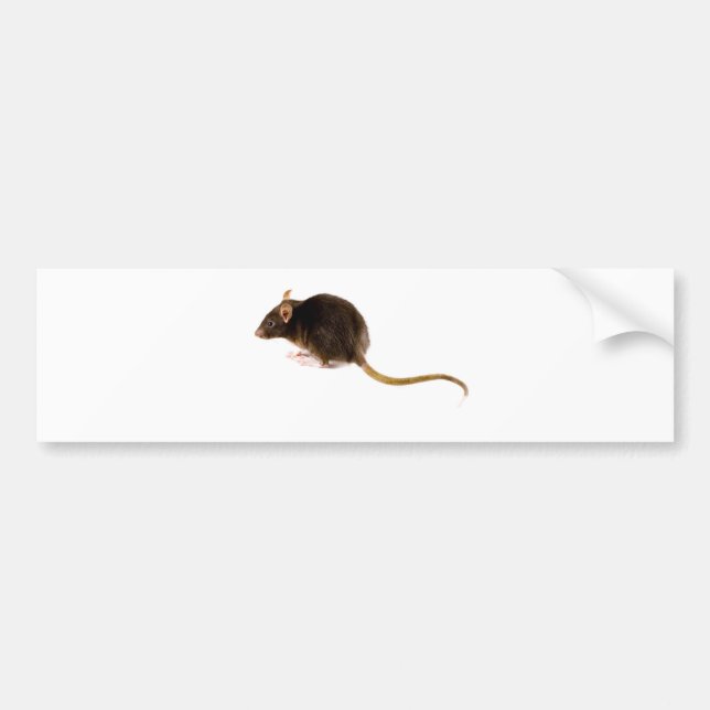Autocollant De Voiture Rat Brown (Devant)
