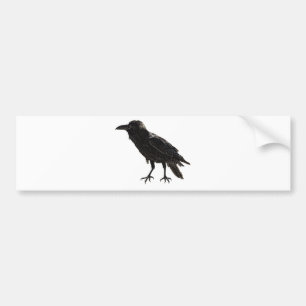 Autocollant De Voiture Raven