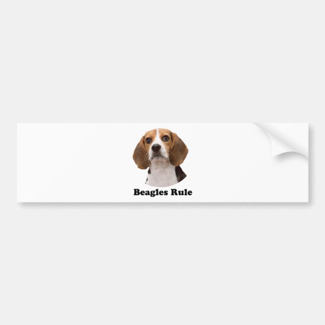 Autocollant De Voiture Règle de beagles (Devant)