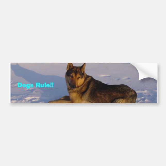 Autocollant De Voiture Règle de chiens ! ! (Devant)
