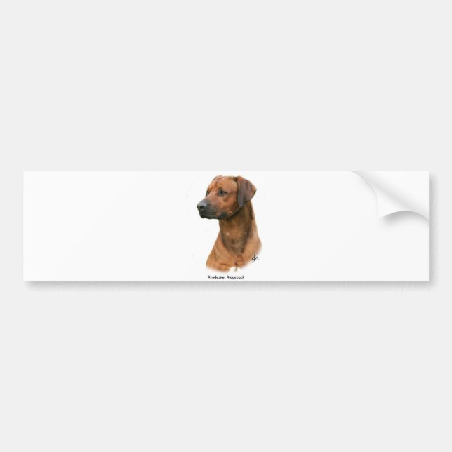 Autocollant De Voiture Rhodesian Ridgeback (Devant)