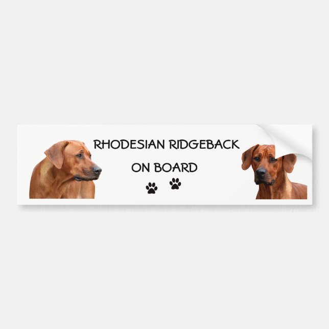 Autocollant De Voiture Rhodesian Ridgeback bumpersticker (Devant)