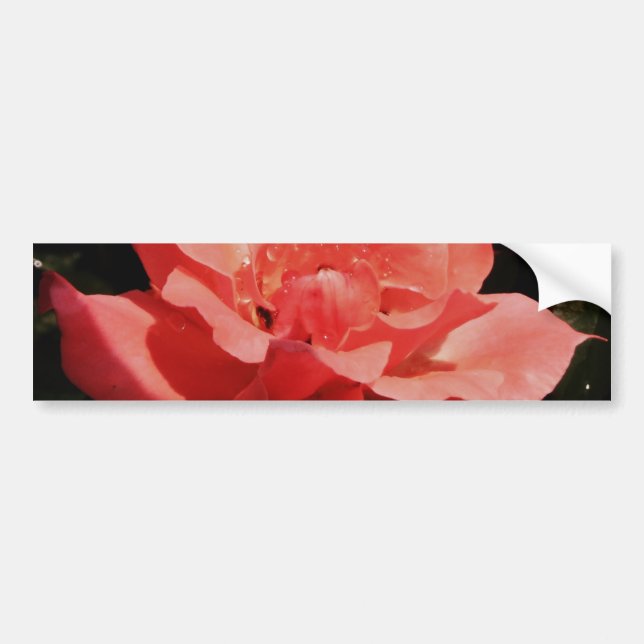 Autocollant De Voiture rose de pêche et détritus (Devant)