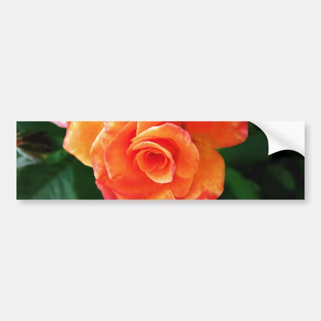 Autocollant De Voiture Rose orange (Devant)
