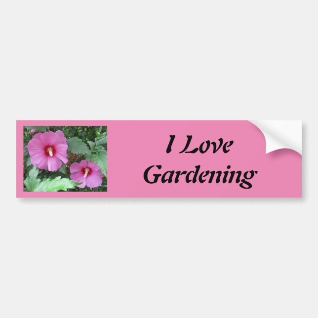 Autocollant De Voiture Rose rose de Sharon Photo I Love Gardening (Devant)