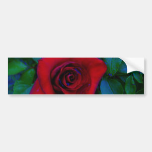 Autocollant De Voiture Roses rouges aux tons bleus