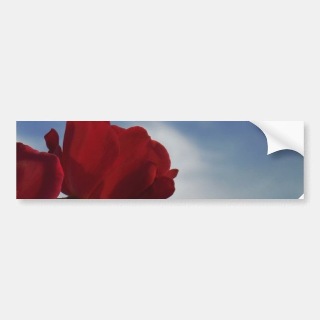 Autocollant De Voiture Roses rouges contre un ciel bleu vif (Devant)
