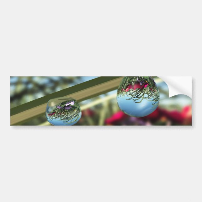 Autocollant De Voiture Roses sur Raindrops Bumper Sticker (Devant)