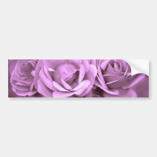 Autocollant De Voiture Roses vintages pourpres