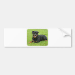 Autocollant De Voiture Rottweiler