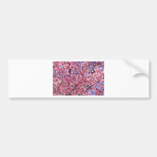 Autocollant De Voiture Sakura Pink Cherry Blossom Sky
