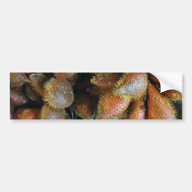 Autocollant De Voiture Salak [Fruit de serpent] (Devant)