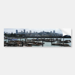 Autocollant De Voiture San Francisco et Pier 39 Sea Lions City Skyline