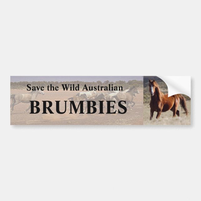 Autocollant De Voiture Sauvez les brumbies australiens sauvages (Devant)