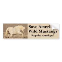 Sauvez les chevaux sauvages de l'Amérique