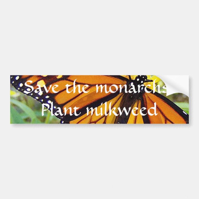 Autocollant De Voiture Sauvez les monarques, plante milkweed - Bumper sti (Devant)