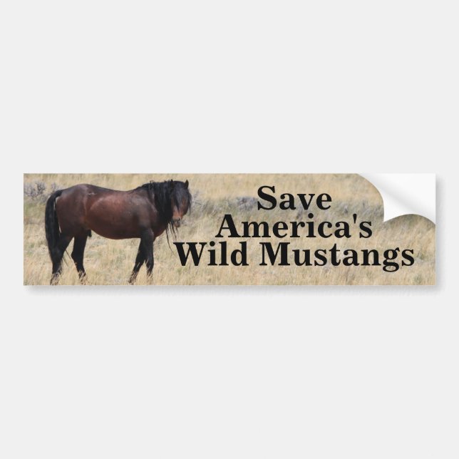 Autocollant De Voiture Sauvez les Mustangs sauvages de l'Amérique (Devant)