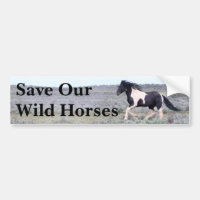 Sauvez nos chevaux sauvages