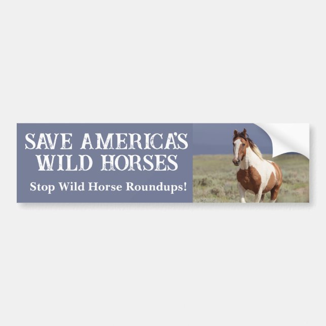 Autocollant De Voiture Sauvez nos Chevaux Sauvages Lavage de Sable Bassin (Devant)