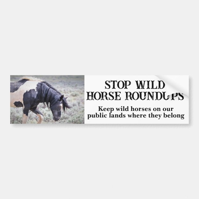 Autocollant De Voiture Sauvez nos chevaux sauvages Washakie (Devant)