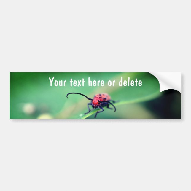 Autocollant De Voiture Scary Red Spotted Beetle Nature Personalized (Devant)