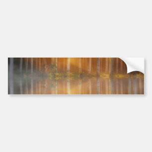 Autocollant De Voiture Scène de la forêt de Misty