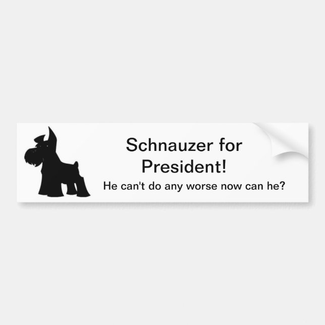 Autocollant De Voiture Schnauzer pour le président (Devant)
