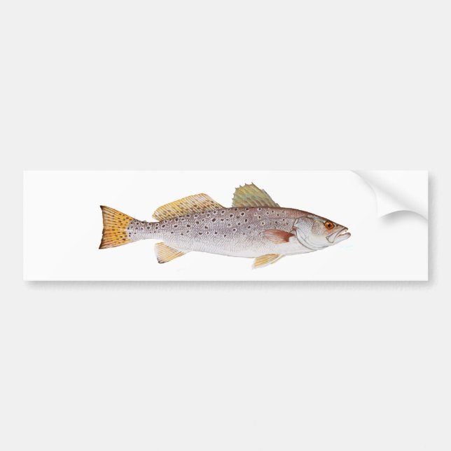 Autocollant De Voiture Seatrout repéré (Devant)