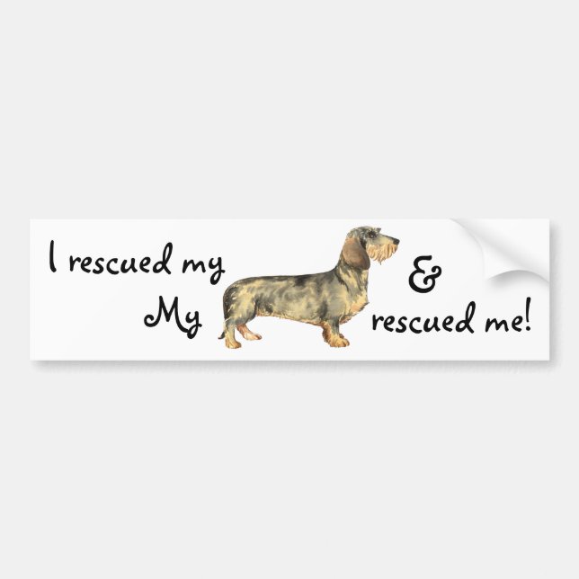 Autocollant De Voiture Secourir Dachshund À poils durs (Devant)