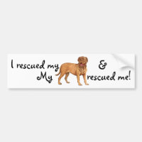 Secourir Dogue de Bordeaux