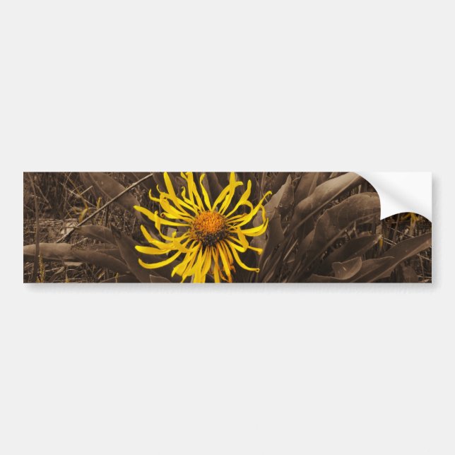 Autocollant De Voiture Sepia tone fleurs sauvages jaunes (Devant)