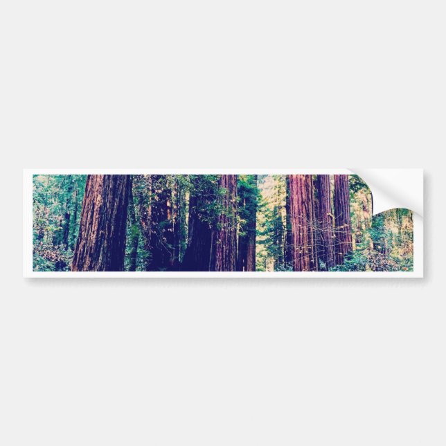 Autocollant De Voiture Séquoias de Californie (Devant)