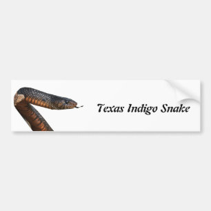 Autocollant De Voiture Serpent d'indigo du Texas