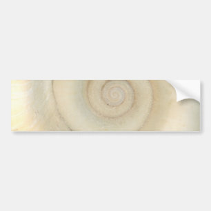 Autocollant De Voiture Shell - conchyliologie - spirale blanche