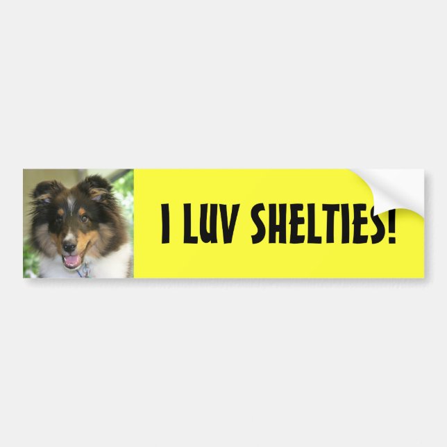Autocollant De Voiture Sheltie, I LUV SHELTIES ! (Devant)