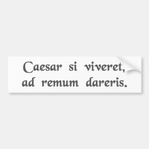 Autocollant De Voiture Si César étaient vivant, vous seriez enchaînés à