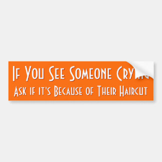 Autocollant De Voiture Si Vous Voyez Quelqu'Un Pleurer | Bumper Sticker