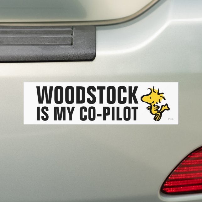Autocollant De Voiture Snoopy & Woodstock Fun & Flowers (En voiture)
