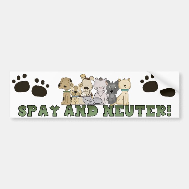 Autocollant De Voiture Spire et Neuter vos animaux Sticker pare-chocs (Devant)